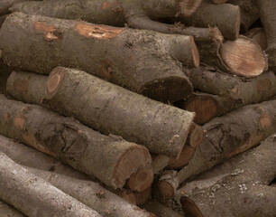 Firewood closeup, firewood background, forest, firewood, spruce, detailed close up texture of stacked firewood with annual rings in high resolution.