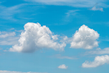 Naklejka na ściany i meble One cloud on the blue sky.