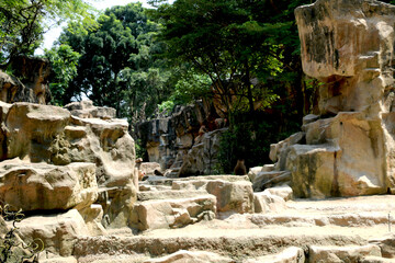 Baboons sitting in zoo at Singapore