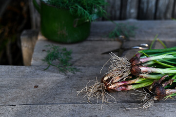 Healthy food from garden on old wooden background