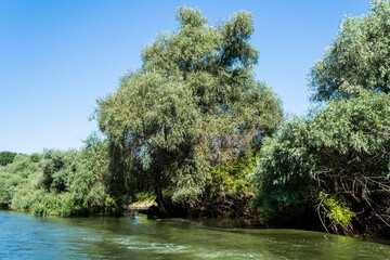 The Danube Delta, the second largest river delta in Europe. Romania.
