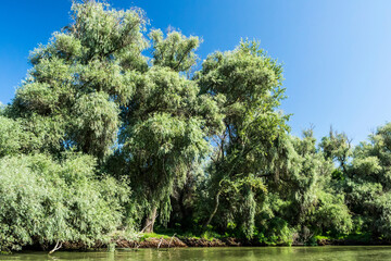 The Danube Delta, the second largest river delta in Europe. Romania.