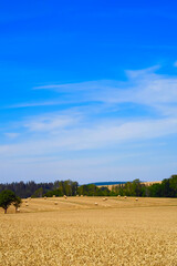 Fototapeta premium Sommerlandschaft