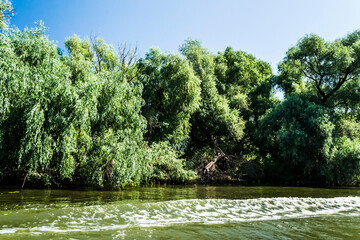 The Danube Delta, the second largest river delta in Europe.  Romania.
