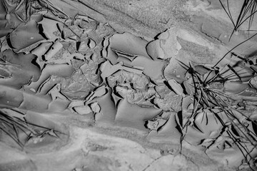 Dinosaur Fossils in the Alberta Badlands