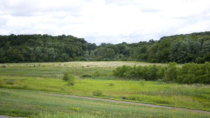 Fototapeta na wymiar landscape with trees in Somerset County Pennsylvania