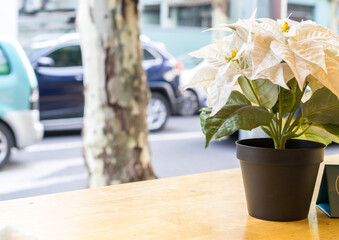 white plastic flower in a pot on the wooden table at the restaurant outdoors, decoration ideas