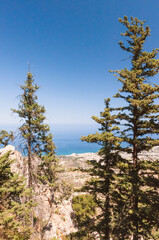 Sea view from rocky mountain with uneven fir trees