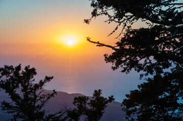 View of the sea sunset through the juniper trees, Cyprus, Troodos