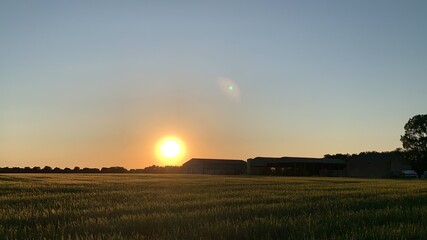 Sunset over a farm