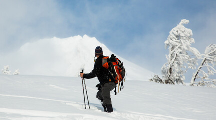 A snow hiker on snow shoes traversing a meadow with Mt Hood looming in the background, Oregon