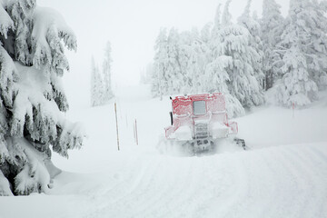 A red snow cat grooming a trail during a snow storm near Timberline Lodge, Mt Hood, Oregon
