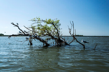 The Danube Delta, the second largest river delta in Europe. Romania.