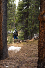 Obraz premium hiking in the woods