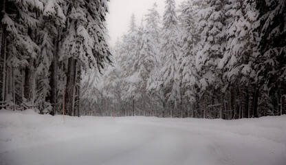 A curve on the road to Timberline on the slopes of Mt Hood, Oregon
