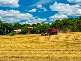 Obraz premium combine harvester working on a field