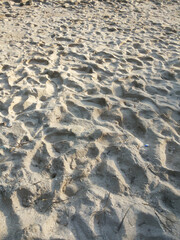 Loose sand seashore background texture.