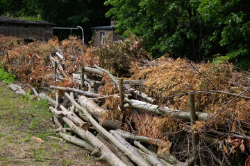 Baumabschnitte auf einem großen Haufen