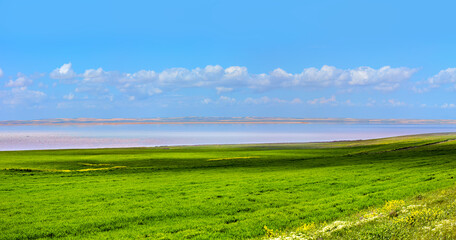 Beautiful landscape with pink salt lake  green grass field in the foreground - Ankara, Turkey