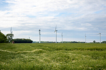 Fototapeta na wymiar Windkraftanlage mit blühendem Feld aus Kamille