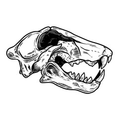 Illustration of skull of tiger in vintage monochrome style. Design element for logo, emblem, sign, poster, card, banner. Vector illustration