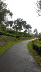 road in the countryside
