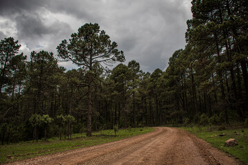 Camino de tierra