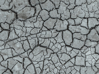 The dried and cracked muddy bottom of a shallow lake, river or swamp.