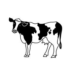 Milk cow hand drawn vector illustration, isolated on white back. Line drawing of a cattle. Farm animal