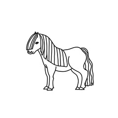 Little cute pony horse, standing. Vector drawing of farm animal. Simple line illustration.