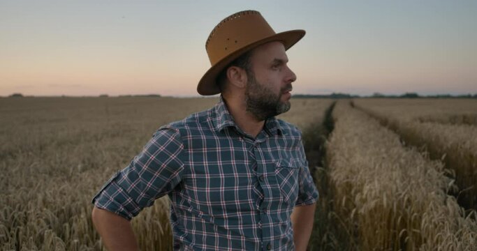 Portrait Caucasian Farmer Man in Plaid Shirt in Hat and Looking in Field. Farmland Sunset Landscape Agriculture. Portrait Farmer Bearded Man With Hat Standing in Wheat Field. Farm Worker. Sunset Sky.