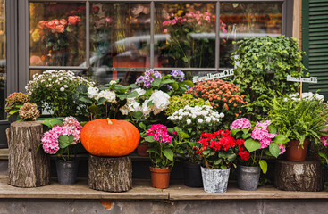 Fototapeta na wymiar autumn decor, composition with pumpkins and seasonal flowers