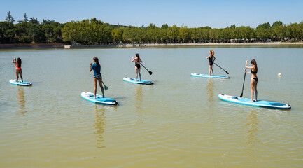 group of people doing paddle surfing