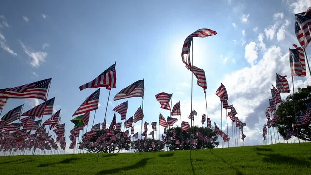 Cinematic pan of American Flags through sunshine