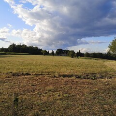 landscape with a field