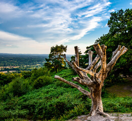 Fototapeta premium Landscape
