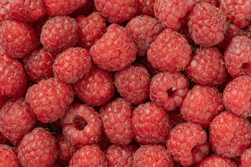Food background. Close-up of raspberries. Macro shot.