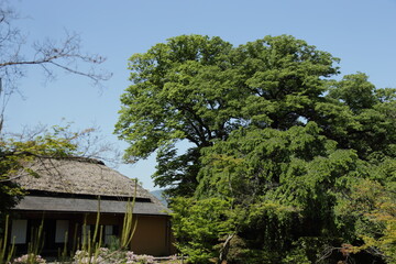 京都　桂　20150511