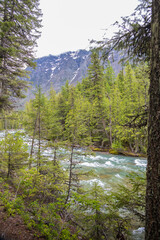 McDonald Creek and mountain background
