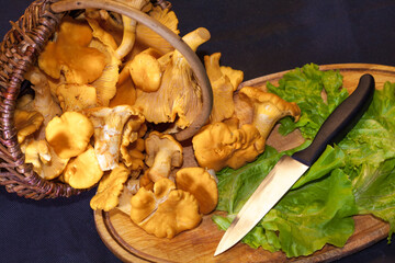 Chanterelles in a basket with lettuce macro