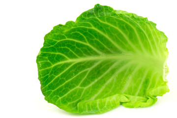 Cabbage leaf isolated on white background