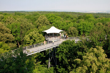 Baumkronenpfad, Nationalpark Hainich, Thueringen, Deutschland, Europa