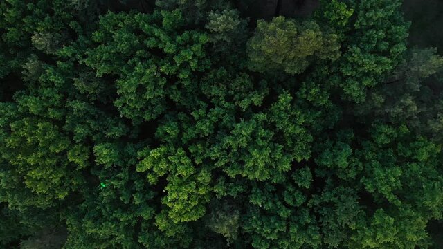 Park of Partisan Glory in Kyiv, Ukraine, spring, May 2020