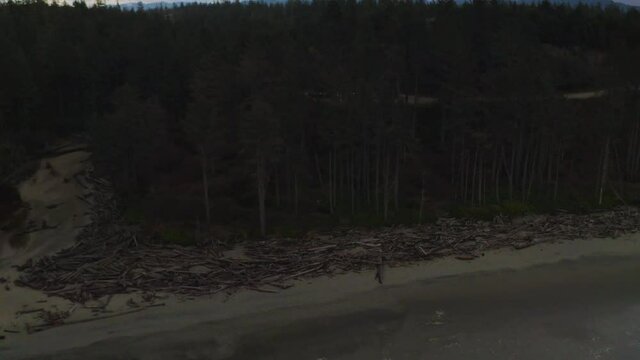 Cinematic aerial shot of scenic coastline at Ruby Beach in Washington