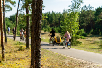 Fototapeta na wymiar People riding on a bicycle path in pines park by the sea. Vacation and lifestyle concept