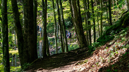 Obraz premium The impressive gorge of the Höllental