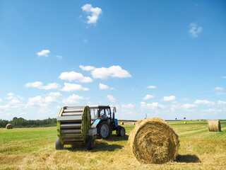 The tractor is harvesting wheat hay. Hay bale. Blank. Rural life, a rural tractor collects a sheaf...