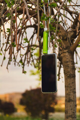 Smartphone and external power bank on the branches of a tree while charging