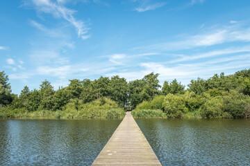 wooden walkway over a lake, in a Dutch nature park