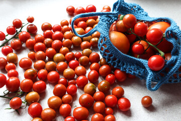 Blue string bag with red ripe tomatoes on the kitchen table, side view, close-up-the concept of harvesting vitamin vegetables for the winter